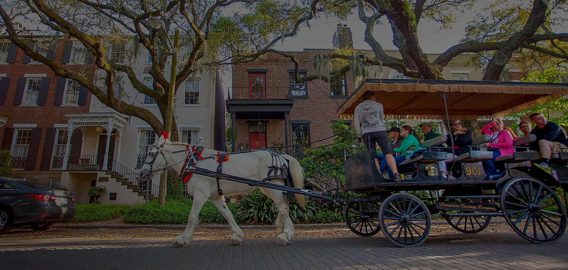 things to do in savannah ga with dogs