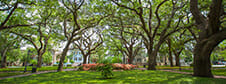Savannah Tours Walking Tours
